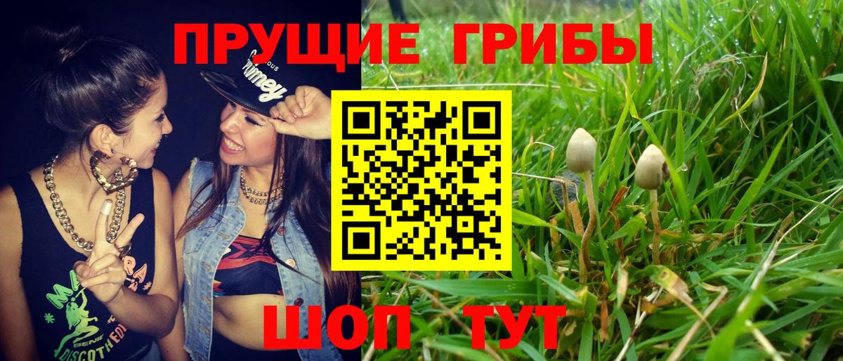 Галлюциногенные грибы Magic Shrooms  Вход с VPN  Кировск  Псилоцибиновые грибы мухоморы 