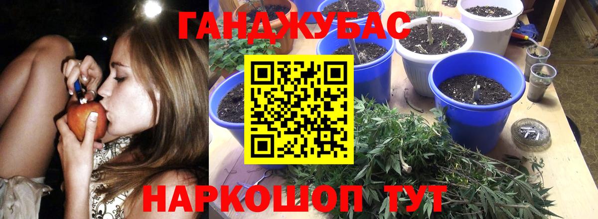 Каннабис SATIVA & INDICA  Бошки Шишки сатива  Кировск  МАРИХУАНА план  Вход с VPN 